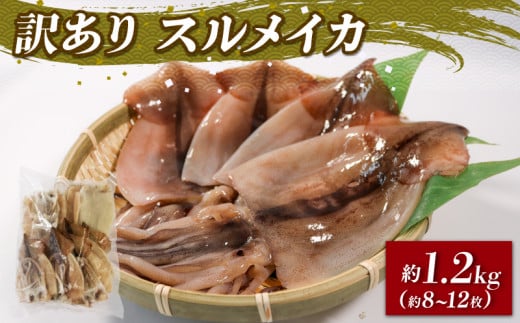 訳あり スルメイカ 1.2kg 8〜12枚入 いか スルメイカ 海鮮 魚貝類 魚介類 おつまみ 開き お酒のあて 煮物 おかず ご飯 白米 三陸産 岩手県 大船渡市