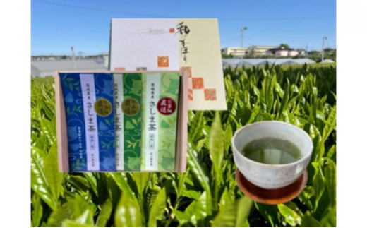 特選さしま茶 お茶 