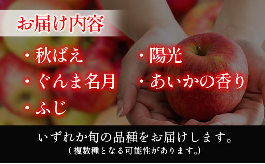 りんご 国産 3kg 農家直送 おかざき農園 芸北りんご 林檎 秋映 陽光 ぐんま名月 あいかの香り ふじ_OK097_001