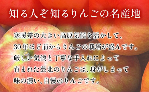 りんご 国産 3kg 農家直送 おかざき農園 芸北りんご 林檎 秋映 陽光 ぐんま名月 あいかの香り ふじ_OK097_001