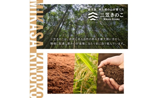 生白えのき茸(20袋・計5kg)国産 エノキ きのこ キノコ 個包装【三笠えのき茸生産組合】a-12-221-z