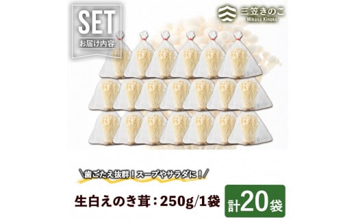 生白えのき茸(20袋・計5kg)国産 エノキ きのこ キノコ 個包装【三笠えのき茸生産組合】a-12-221-z