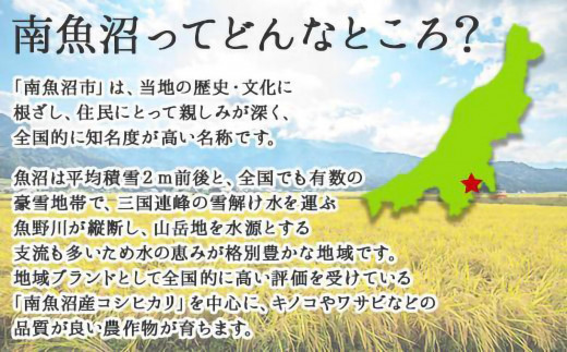 【無地のし】 新潟県 南魚沼産 厳選 国産 黒 高級 舞茸 まいたけ 産地直送 700g ×3箱 計2.1kg 贈り物 ギフト お中元 お歳暮 大平きのこ研究所