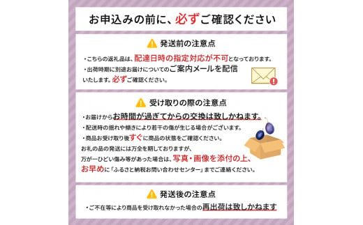 [先行受付/2025年] 仁木町の採れたて「サンプルーン」2kg［妹尾観光農園］【 北海道 仁木 果物 フルーツ プルーン 】