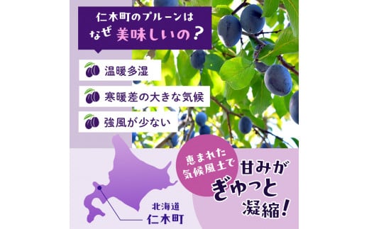 [先行受付/2025年] 仁木町の採れたて「サンプルーン」2kg［妹尾観光農園］【 北海道 仁木 果物 フルーツ プルーン 】