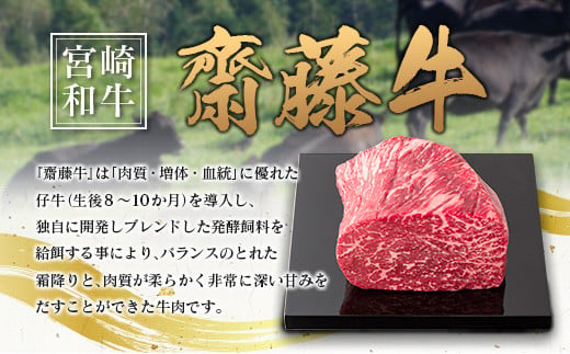 牛肉100％使用！宮崎和牛『齋藤牛』ハンバーグセット 計960g(120g×8個) 【B549】