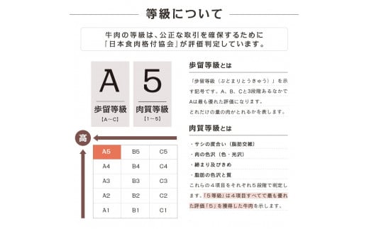 M198　A5等級 鹿児島県産黒毛和牛赤身ブロック 400g