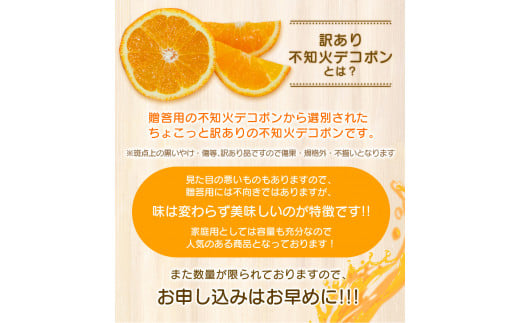 ＼光センサー選別／ 【訳あり】ちょこっと訳あり不知火デコポン 約7kg【ご家庭用】 先行予約 訳あり デコポン みかん ※2025年2月中旬～4月中旬に発送予定（お届け日指定不可）【nuk120B】