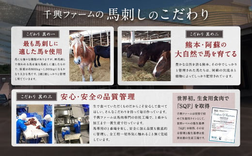 馬刺し 赤身 ・ タタキ ・ ユッケ セット 3種 計290g 馬肉 ブロック 食べ比べ 熊本県