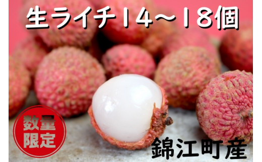 No.1345-1 愛果ライチ