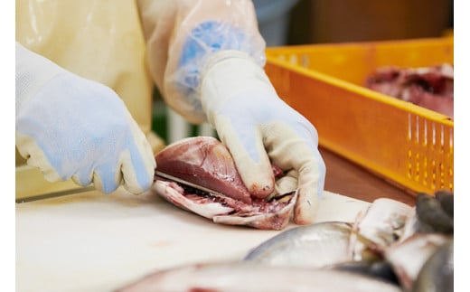 干物 一夜干しのほろほろ蒸し 7種8p [気仙沼市物産振興協会 宮城県 気仙沼市 20565259] 詰め合わせ ひもの