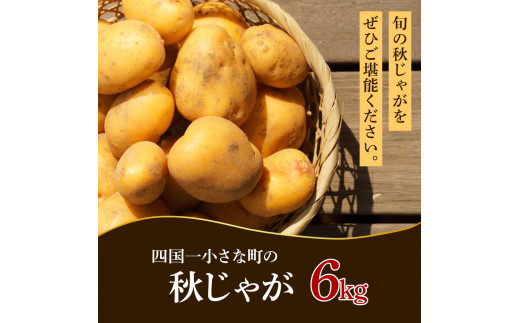 【四国一小さなまちのじゃがいも】★令和５年１２月中旬発送開始★ 大野台地で採れた『 令和５年産 秋じゃが 』 ６ｋｇ