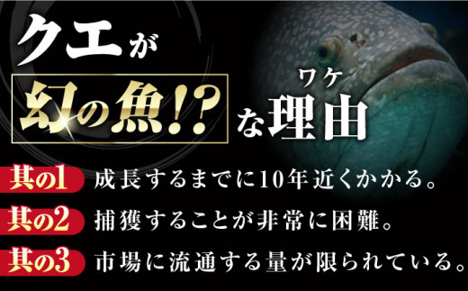 【全6回定期便】対馬 産 クエ 鍋 セット 600g (2～3人前)《対馬市》【対馬地域商社】九州 長崎 海鮮 [WAC034]冷凍 新鮮 くえ 鍋セット 海の幸 クエ 下処理 冷凍 新鮮 小分け 海産物 九州 長崎 唐揚げ からあげ 天ぷら てんぷら 煮付け 5人前 クエ鍋 対馬 定期便 毎月届く