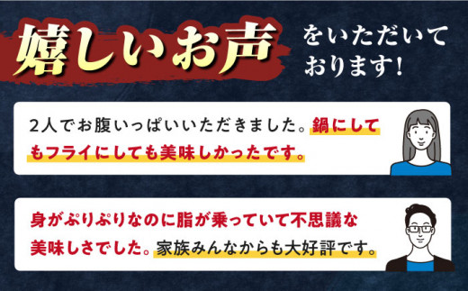 【全6回定期便】対馬 産 クエ 鍋 セット 600g (2～3人前)《対馬市》【対馬地域商社】九州 長崎 海鮮 [WAC034]冷凍 新鮮 くえ 鍋セット 海の幸 クエ 下処理 冷凍 新鮮 小分け 海産物 九州 長崎 唐揚げ からあげ 天ぷら てんぷら 煮付け 5人前 クエ鍋 対馬 定期便 毎月届く