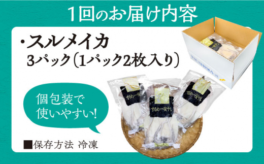 【全12回定期便】するめ いか 一夜干し セット《対馬市》【対馬地域商社】九州 長崎 海鮮 [WAC026]冷凍 新鮮 簡単調理 肉厚 スルメイカ いか 小分け 天ぷら 炒め物 おつまみ 個包装 贈り物 プレゼント 対馬 つしま するめいか 烏賊 人気 定期便 毎月届く