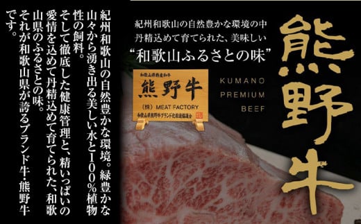 ローストビーフ 熊野牛 赤身 ローストビーフ 500g 株式会社Meat Factory《30日以内に出荷予定(土日祝除く)》和歌山県 日高川町 送料無料 牛肉 肉 ローストビーフ 冷凍