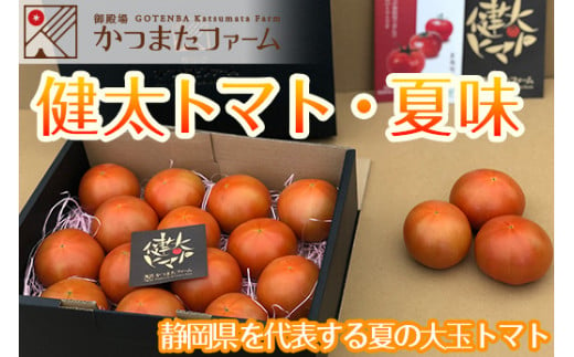 静岡県を代表する夏の大玉トマト「健太トマト・夏味」｜ 野菜 リコピン ヘルシー 新鮮 産直※2022年7月下旬より順次発送※着日指定不可