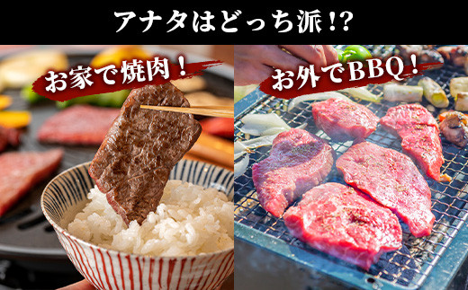 【7月配送】佐賀牛 焼肉セット 600g BBQ バーベキュー 焼き肉 バラ モモ D-191