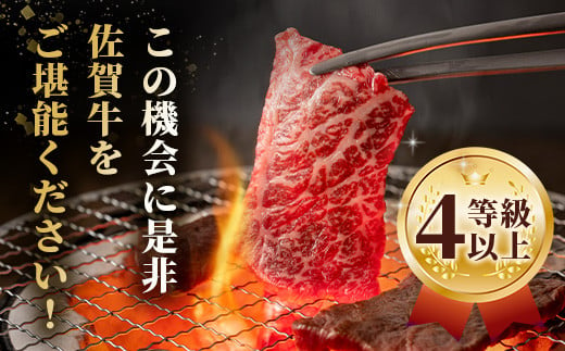 【7月配送】佐賀牛 焼肉セット 600g BBQ バーベキュー 焼き肉 バラ モモ D-191