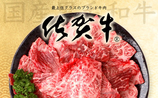 【7月配送】佐賀牛 焼肉セット 600g BBQ バーベキュー 焼き肉 バラ モモ D-191