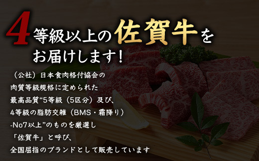 【7月配送】佐賀牛 焼肉セット 600g BBQ バーベキュー 焼き肉 バラ モモ D-191