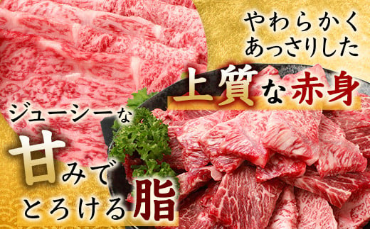 【7月配送】佐賀牛 焼肉セット 600g BBQ バーベキュー 焼き肉 バラ モモ D-191