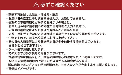 岡山県産 シャインマスカット 晴王 約5kg（5房～10房） 【2024年8月下旬～11月下旬迄発送予定】