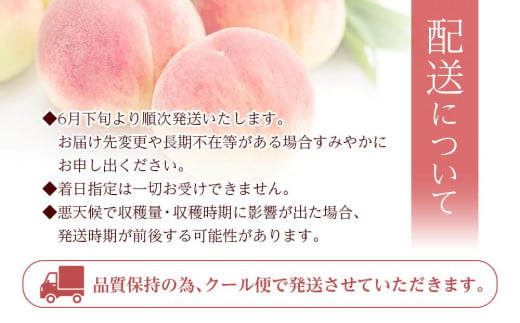 和歌山県産 旬 の 桃 5～6玉入り 秀品【2025年6月下旬より順次発送】【MG33】