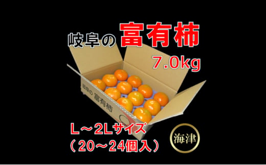 [№5533-0233]岐阜の富有柿7.0kg（20個～24個入）