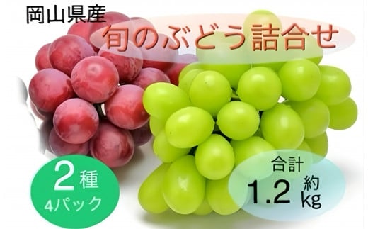 2025年 先行予約 岡山県産 旬のぶどう詰合せ 2種 4パック(シャインマスカット 晴王 1房 約300g×2P、旬のぶどうお任せ 1房 約300g×2P)セット