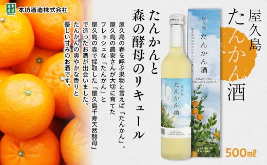 年内発送　【屋久島限定】屋久島たんかん酒500ml×3本＜本坊酒造 屋久島伝承蔵＞