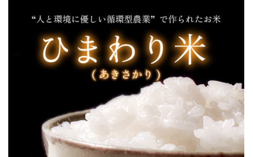 【令和6年産 新米】 福井県産ひまわり米(あきさかり) 白米3kg×2袋 若狭の恵 精米 あきさかり