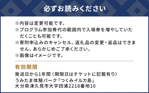 イルカとふれあうFor family（イルカ島満喫チケット）水族館 体験チケット レジャーチケット アクティビティ 動物ふれあい 大分県産 九州産 津久見市 熨斗対応