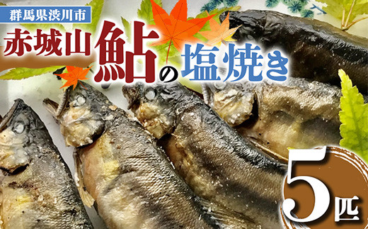 赤城山 鮎の塩焼き 5匹 あゆ アユ 鮎 魚 焼き魚 国産 F4H-0015