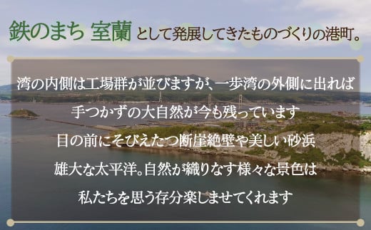 室蘭地球岬遊覧クルーズチケット 大人2名様 【 ふるさと納税 人気 おすすめ ランキング 北海道 室蘭 大人 2名 クルーズ チケット 観光 地球岬 プライベート イベント 休日 北海道 室蘭市 送料無料 】 MROX006