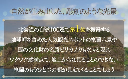 室蘭地球岬遊覧クルーズチケット 大人2名様 【 ふるさと納税 人気 おすすめ ランキング 北海道 室蘭 大人 2名 クルーズ チケット 観光 地球岬 プライベート イベント 休日 北海道 室蘭市 送料無料 】 MROX006