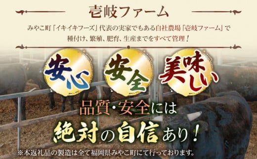 九州産黒毛和牛 ビーフシチュー 4個セット 惣菜 汁物 晩御飯 晩ご飯 晩飯 夕飯 夜ご飯 夜食 洋風 オリジナル スープ お肉たっぷり じっくり 煮込み 壱岐ファーム 自社農場 宮崎牛