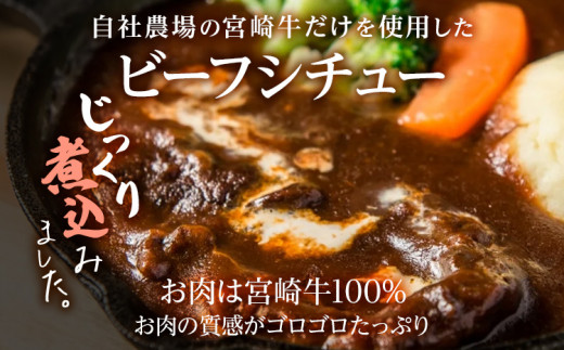 九州産黒毛和牛 ビーフシチュー 4個セット 惣菜 汁物 晩御飯 晩ご飯 晩飯 夕飯 夜ご飯 夜食 洋風 オリジナル スープ お肉たっぷり じっくり 煮込み 壱岐ファーム 自社農場 宮崎牛