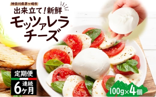  6ヶ月定期便 出来立て新鮮 モッツァレラチーズ100g  ×  4個セット 茅ケ崎産 加工食品 乳製品 チーズ 出来立て 神奈川県産 モッツァレラ 手作り Osteria e Bottega S 神奈川県 湘南 茅ケ崎 フレッシュチーズ  おつまみ ピザ