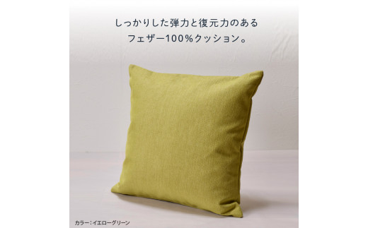 460109001 blocco フェザー100％ クッション [55cm×55cm/イエローグリーン]