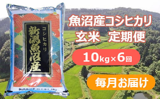 S138P279 【令和6年産 新米予約】魚沼産コシヒカリ・棚田米 玄米10kg×6回（毎月）早期受付 2024年9月下旬頃より発送開始 魚沼 米