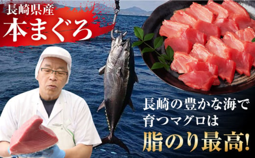 【全6回定期便】長崎県産 養殖本まぐろ(赤身・中トロ) 計300g以上  長崎県/まるせん鮪本舗 [42ABAT005] 本マグロ トロ 赤身 刺身 柵 まぐろ 鮪 養殖 中トロ 中とろ 海鮮丼 魚 海鮮 海産物