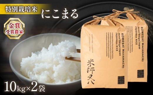  令和6年産 新米 にこまる 20kg ( 10kg × 2袋 2024年産 ブランド 米 精米 白米 内祝い 十六代目米師又八 謹製 もちもち 送料無料 滋賀県 竜王 ふるさと納税 )