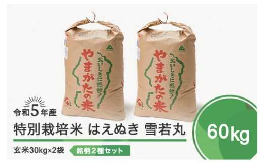 令和6年6月下旬発送 はえぬき 雪若丸 各30kg 計60kg 玄米  令和5年産