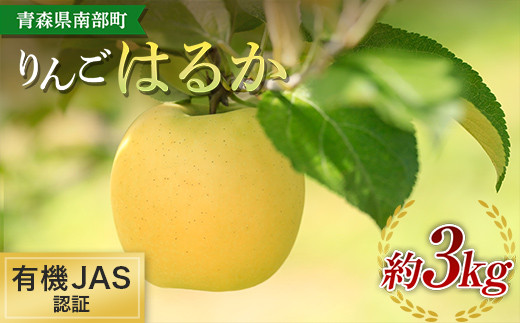 有機JAS認証 りんご はるか 約3kg 【和楽堂りんご養生農苑】青森りんご リンゴ 林檎 アップル あおもり 青森 青森県 南部町 三戸 南部 果物 くだもの フルーツ オーガニック F21U-324