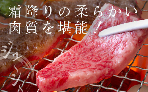 ◆宮崎牛バラ焼肉(500g1パック)