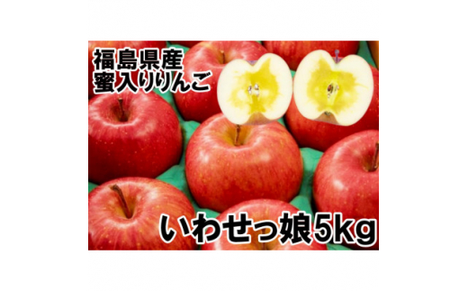 福島県のりんご　いわせっ娘5kg蜜入り(16～22玉)　ギフト・贈答用【1293247】