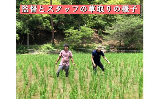 映画『黒の牛』応援企画！三芳菊コラボ限定日本酒（720ml）