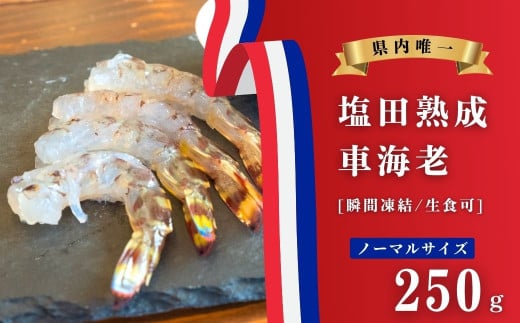 広島県大崎上島町の塩田跡（養殖池）で育った車海老