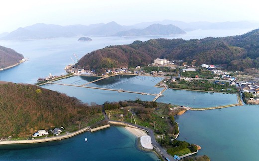 大崎上島の塩田跡がファームスズキの養殖池です